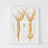 white frame squid wall art